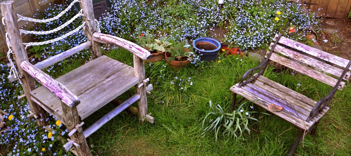 Turn Your Back Yard into an Oasis